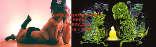 тгк Беломорск
